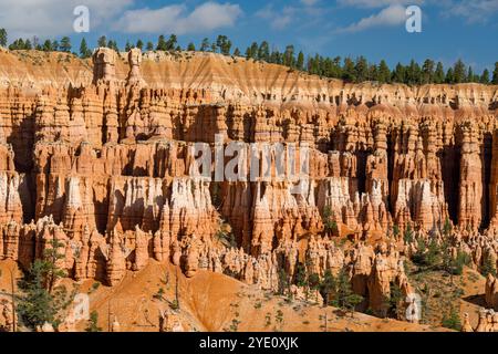 Hoodoos im Amphitheater des Bryce Canyon, vom Peekaboo Loop aus gesehen Stockfoto