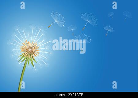 Fliegende Nelkensamen bilden einen Wunschkonzept-Hintergrund Stock Vektor