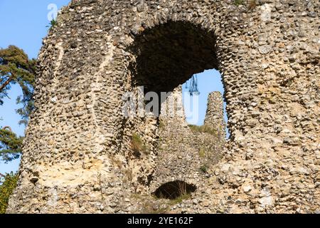 Die Ruine des Feuersteins des achteckigen Donjons von Odiham Castle, auch bekannt als King John's Castle, neben dem Basingstoke Canal an einem Herbsttag. UK Stockfoto