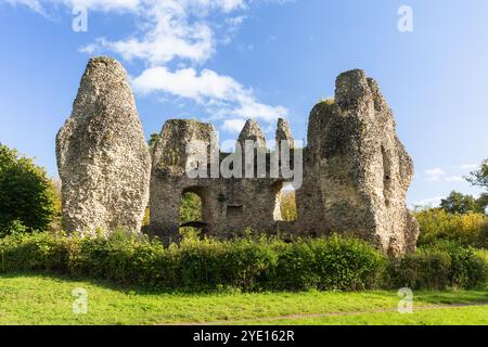 Die Ruine des Feuersteins des achteckigen Donjons von Odiham Castle, auch bekannt als King John's Castle, neben dem Basingstoke Canal an einem Herbsttag. UK Stockfoto