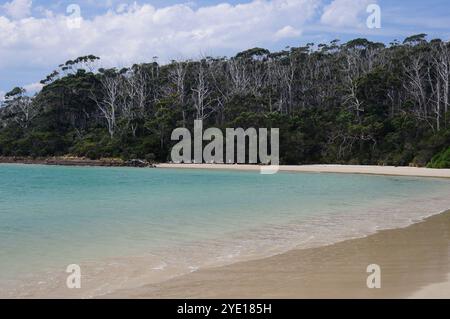 Recherche Bay, Southwest National Park, Tasmanien, Australien Stockfoto