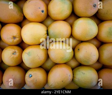 Blick von oben auf Orangenfrüchte, die in einem Supermarkt ordentlich angeordnet wurden. Stockfoto