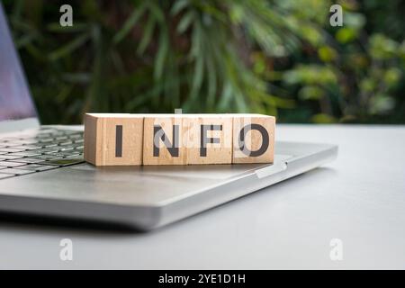Info-Wort geschrieben auf quadratischem Holzblock, oben auf Computer-Laptop. Stockfoto