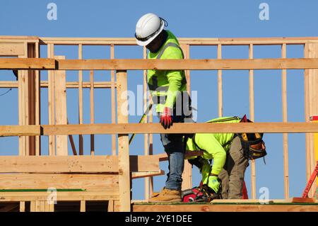 Phoenix, Arizona, USA. Oktober 2024. Bauteams arbeiten an einem neuen Wohnkomplex in Phoenix, Teil eines Metro-weiten Wohnungsbooms, der durch Bevölkerungswachstum, hohe Nachfrage und den Bedarf an erschwinglichem Wohnraum angetrieben wird. Phoenix ist die viertgrößte Stadt in den USA für den Wohnungsbau und wird bis Ende 2024 über 20.000 neue Einheiten hinzufügen. Die Stadt baut auch einen 11 km langen Abschnitt der Interstate 10 zwischen Loop 202 und I-17 in der Nähe des Sky Harbor International Airport aus, ein Projekt, das den Verkehr erleichtern und die Sicherheit durch neue Fahrspuren und Brücken bis 2025 verbessern soll. (Kreditbild: © Ed Stockfoto