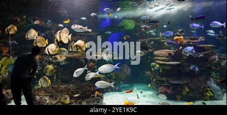 Ripley's Aquarium of Canada in Toronto Stockfoto