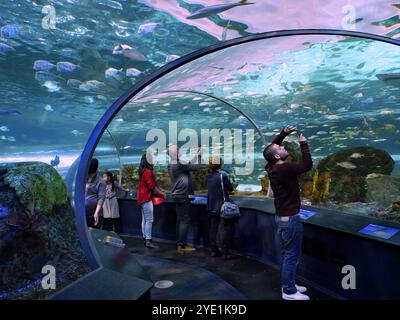 Ripley's Aquarium of Canada in Toronto Stockfoto
