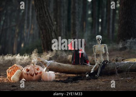 Schwarzer Pudelhund verschiedene Halloween-Dekorationen, darunter Kürbisse und ein Skelett, sind auf einem Baumstamm in einem dunklen Wald angeordnet. Die unheimliche Lage mit Nebel Stockfoto