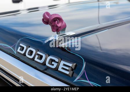 Ein lila Kapuzenschmuck an einem alten Dodge Pickup-Truck. Stockfoto