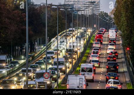 Stau auf der Landshuter Allee, Mittlerer Ring, München, Ende Oktober 2024 Deutschland, München, Ende Oktober 2024, Stau auf der Landshuter Allee, Teil des Mittleren Rings, Stop and Go, Berufsverkehr in der Blauen Stunde, mehrere Fahrspuren, Blick von oben, Schilder Tempo 30, Umweltzone, Tempo 30 reicht nicht für die Luftreinhaltung, Fahrverbot für Euro-5-Dieselfahrzeuge könnte auch kommen, Blechlawine, viel Verkehr, Dieselfahrverbot, Autos, PKW, Herbst, Bayern *** Stau an der Landshuter Allee, Mittlerer Ring, München, Ende Oktober 2024 Deutschland, München, Ende Oktober 2024, Stau o Stockfoto