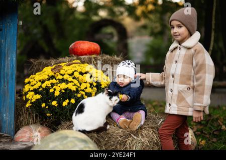 Zwei Kinder, warm gekleidet für den Herbst, spielen mit einer freundlichen Katze in der Nähe von lebhaften Kürbissen und Blumen in einer rustikalen Umgebung. Die Szene fängt das wesentliche ein Stockfoto