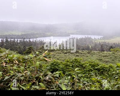 Hachiman-Teich im Hachimantai-Berg, Towada-Hachimantai-Nationalpark, Tohoku-Region in Japan. Stockfoto