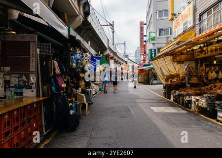 Tokio, Japan - 6. August 2024: Ameyoko, ein lebhafter Straßenmarkt in Ueno, Tokio, bietet geschäftige Geschäfte, Imbissstände und lokale Waren. Aufnahme der liv Stockfoto