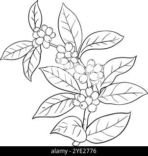 Illustration der Coffee Branch with Beries Outline. Stock Vektor