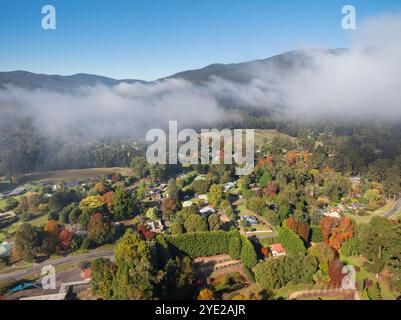 Aus der Vogelperspektive erhebt sich Nebel in Herbstfarben in Warburton im Yarra Valley in Victoria, Australien. Stockfoto