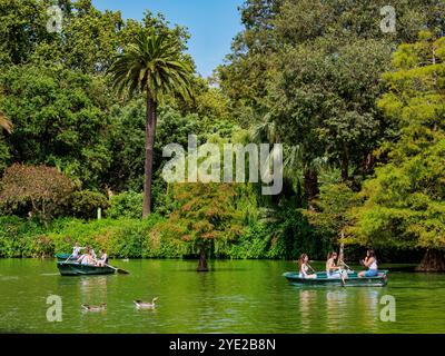 Ruderboote am See Parc de la Ciutadella, Barcelona, Katalonien, Spanien Stockfoto