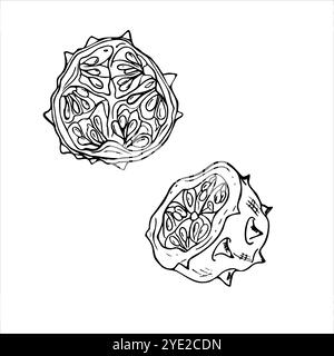 Zwei fallende Kiwano-Fruchtscheiben Vektor isolierte Illustration gemalt mit schwarzen Tinten. Die Hälfte der exotischen tropischen Gurkenpflanzenstiche Stock Vektor