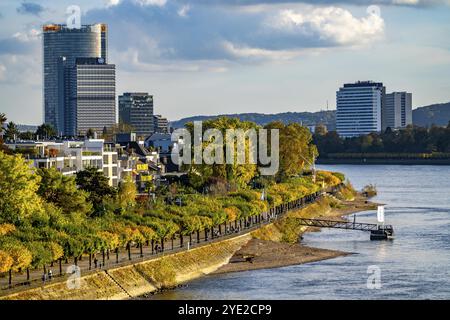 Skyline Bonn am Rhein, vor dem UNFCCC-Sekretariat der Rahmenkonvention über Klimaänderungen, in der Mitte das Hochhaus der Stockfoto