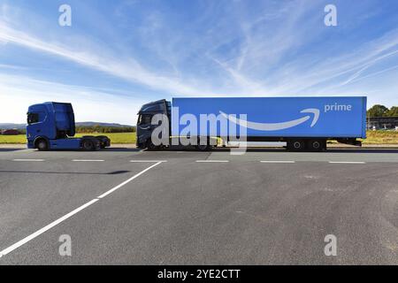 Blauer Lkw mit Amazon Prime-Logo am Straßenrand, Logistikzentrum PAD2, Amazon.com, Online-Shopping, Zufahrtsstraße, Horn-Bad Meinberg, Ostwestf Stockfoto