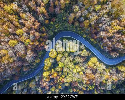 Gewundene Landstraße durch einen Wald mit herbstlichen Bäumen, Schwäbische Alb im Herbst. Luftaufnahme. Lenningen, Baden-Württemberg, Deutschland, Europa Stockfoto