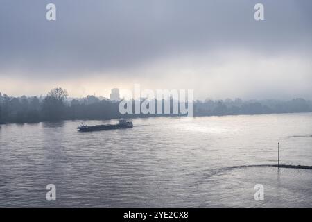 Frachtschiff auf dem Rhein im Morgennebel, flussabwärts fährt, Bonn, Nordrhein-Westfalen, Deutschland, Europa Stockfoto