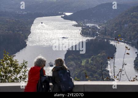 Blick von der Drachenfels-Hochebene, am Rhein nach Süden, Touristen, der Drachenfels ist ein Berg im Siebengebirge am Rhein zwischen Bad Ho Stockfoto