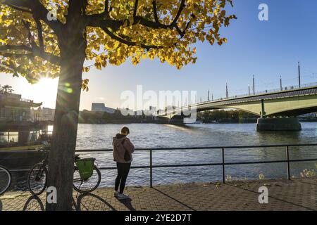 Die Kennedy-Brücke, die Mitte der drei Rheinbrücken Bonns, verbindet das Zentrum von Bonn mit dem Beuel-Bezirk, die Bundesstraße B56, Stadtbahnlinien und f Stockfoto