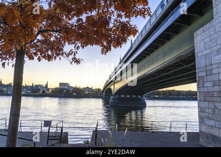 Die Kennedy-Brücke, die Mitte der drei Rheinbrücken Bonns, verbindet das Zentrum von Bonn mit dem Beuel-Bezirk, die Bundesstraße B56, Stadtbahnlinien und f Stockfoto