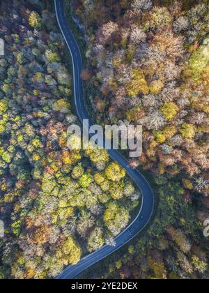 Gewundene Landstraße durch einen Wald mit herbstlichen Bäumen, Schwäbische Alb im Herbst. Luftaufnahme. Lenningen, Baden-Württemberg, Deutschland, Europa Stockfoto