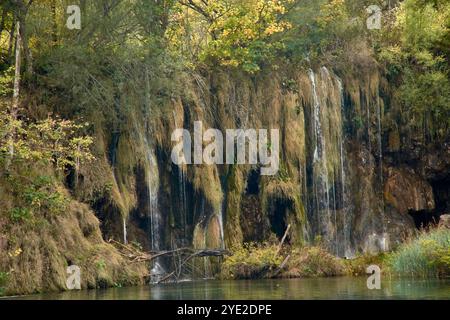 Dieses Herbstfoto des Nationalparks Plitvicer Seen in Kroatien fängt die einzigartige Schönheit hängender Baumwurzeln und zarter Wasserfälle ein. Stockfoto