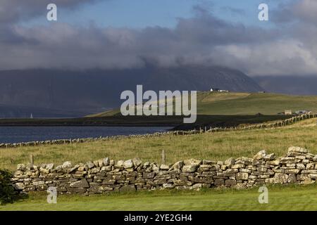 Mull Head Local Nature Reserve, Naturreservat am Meer, Skaill, Orkney, Schottland, Vereinigtes Königreich, Europa Stockfoto