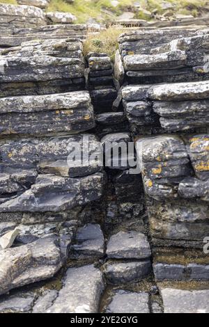 Gebrochene Sedimente mit einem Knebel, devonischer roter Sandstein, Mull Head Local Nature Reserve, Meeresschutzgebiet, Skaill, Orkney, Schottland, Vereinigtes Königreich Stockfoto