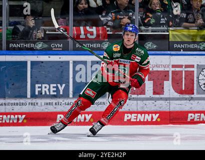 Augsburg, Deutschland. Oktober 2024. Alexander Oblinger (Augsburger Panther, #50). Deutschland, Augsburger Panther vs. Fischtown Pinguins Bremerhaven, Eishockey, DEL, 13. Spieltag, Saison 2024/2025, 27.10.2024. Foto: Eibner-Pressefoto/Heike feiner Credit: dpa/Alamy Live News Stockfoto