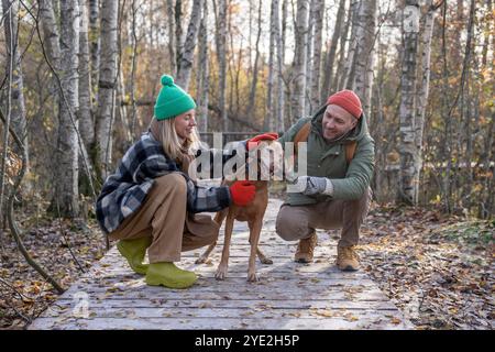 Lächelnde Tierbesitzer spielen mit geliebtem Hund, während sie Zeit im Wald am sonnigen Herbsttag verbringen Stockfoto