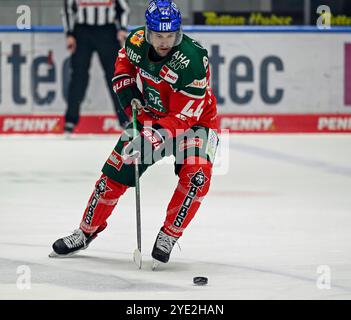 Augsburg, Deutschland. Oktober 2024. Nolan Zajac (Augsburger Panther, #44). Deutschland, Augsburger Panther vs. Fischtown Pinguins Bremerhaven, Eishockey, DEL, 13. Spieltag, Saison 2024/2025, 27.10.2024. Foto: Eibner-Pressefoto/Heike feiner Credit: dpa/Alamy Live News Stockfoto