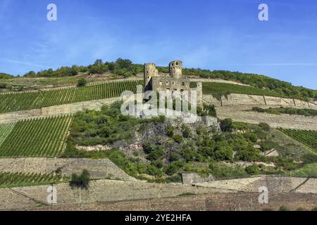 Die Burg Ehrenfels ist eine Ruine oberhalb der Rheinschlucht bei Rudesheim am Rhein Stockfoto