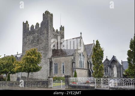 Holy Trinity Abbey Church in Adare, County Limerick, Irland, Europa Stockfoto