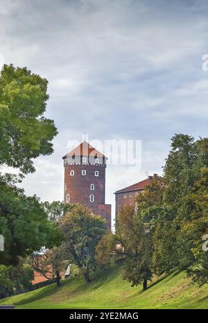 Der Sandomierz-Turm ist einer der drei bestehenden Wawel-Burgtürme in Krakau, Polen, Europa Stockfoto