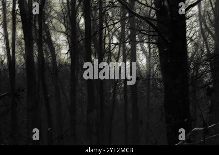 Surrealistischer Wald, stimmungsvoller Black Metal Wald, dunkler gruseliger Wald, Horrorstimmung, fantastische Farben Stockfoto