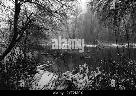 Surrealistischer Wald, stimmungsvoller Black Metal Wald, dunkler gruseliger Wald, Horrorstimmung, fantastische Farben Stockfoto