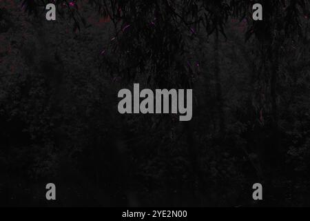 Surrealistischer Wald, stimmungsvoller Black Metal Wald, dunkler gruseliger Wald, Horrorstimmung, fantastische Farben Stockfoto