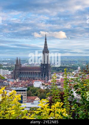 Blick auf das Ulmer Münster, Ulm, Baden-Württemberg, Deutschland Blick auf das Ulmer Münster, Ulm, Baden-Württemberg, Deutschland *** Blick auf Ulm min Stockfoto