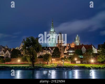 Blick auf das Ulmer Münster mit Donau bei Nacht, Ulm, Baden-Württemberg, Deutschland Blick auf das Ulmer Münster mit Donau bei Nacht, Ulm, Baden-Württ Stockfoto