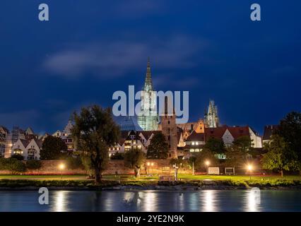 Blick auf das Ulmer Münster mit Donau bei Nacht, Ulm, Baden-Württemberg, Deutschland Blick auf das Ulmer Münster mit Donau bei Nacht, Ulm, Baden-Württ Stockfoto