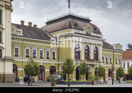 Rathaus am Dobo Istvan Platz im Stadtzentrum von Eger, Ungarn, Europa Stockfoto