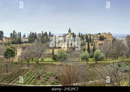 Blick auf die Alhambra von Generalife Gardens, Granada, Spanien, Europa Stockfoto