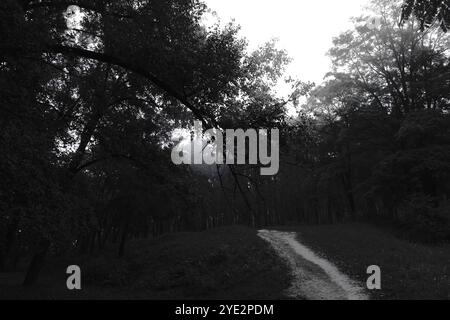 Surrealistischer Wald, stimmungsvoller Black Metal Wald, dunkler gruseliger Wald, Horrorstimmung, fantastische Farben Stockfoto