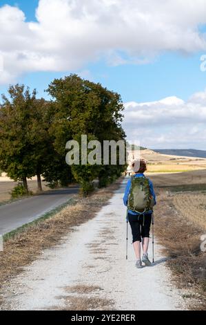 Castrojeriz, Spanien: 17. September 2024: Pilger, die 2024 auf dem Jakobsweg in Castrojeriz ankommen. Stockfoto