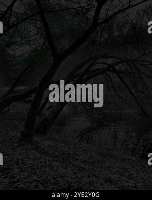 Surrealistischer Wald, stimmungsvoller Black Metal Wald, dunkler gruseliger Wald, Horrorstimmung, fantastische Farben Stockfoto