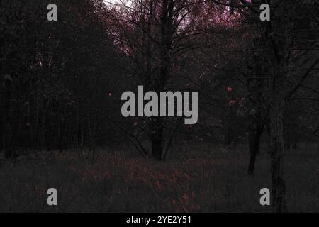 Surrealistischer Wald, stimmungsvoller Black Metal Wald, dunkler gruseliger Wald, Horrorstimmung, fantastische Farben Stockfoto