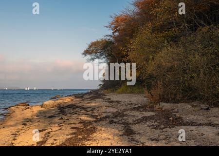 Schönes Licht im Herbst am Flensburger Fjord. Es lädt Sie ein, spazieren zu gehen. Stockfoto